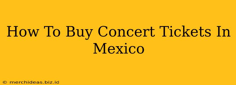 How To Buy Concert Tickets In Mexico