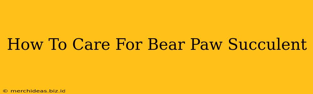 How To Care For Bear Paw Succulent
