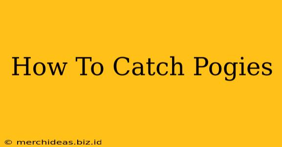 How To Catch Pogies
