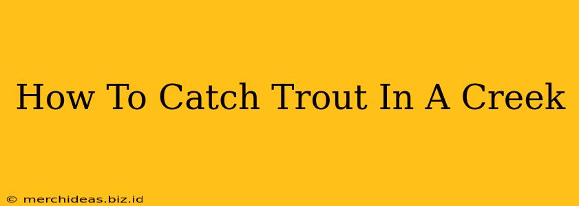 How To Catch Trout In A Creek