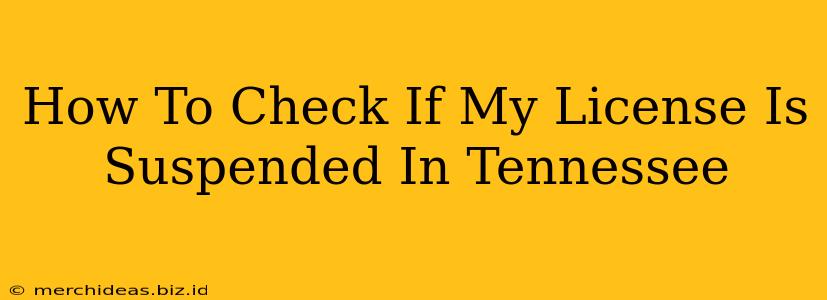 How To Check If My License Is Suspended In Tennessee