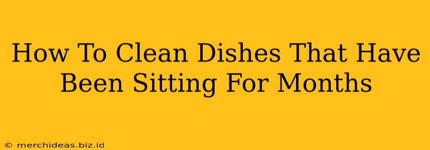 How To Clean Dishes That Have Been Sitting For Months