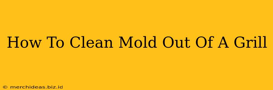 How To Clean Mold Out Of A Grill