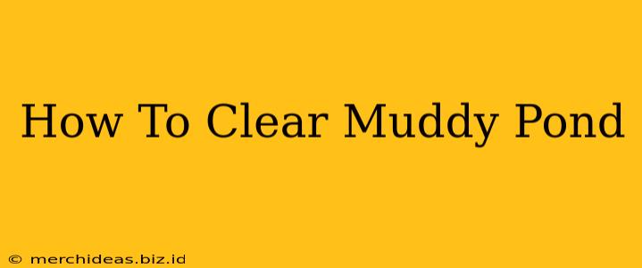 How To Clear Muddy Pond