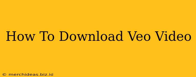 How To Download Veo Video