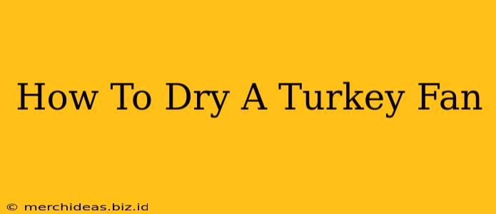 How To Dry A Turkey Fan