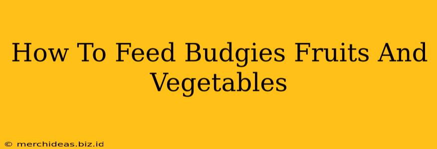 How To Feed Budgies Fruits And Vegetables