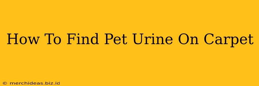 How To Find Pet Urine On Carpet