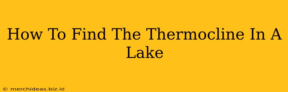 How To Find The Thermocline In A Lake