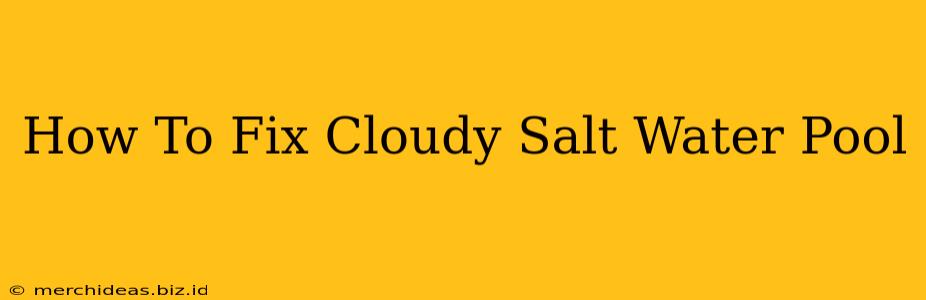 How To Fix Cloudy Salt Water Pool