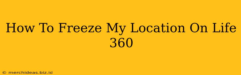 How To Freeze My Location On Life 360