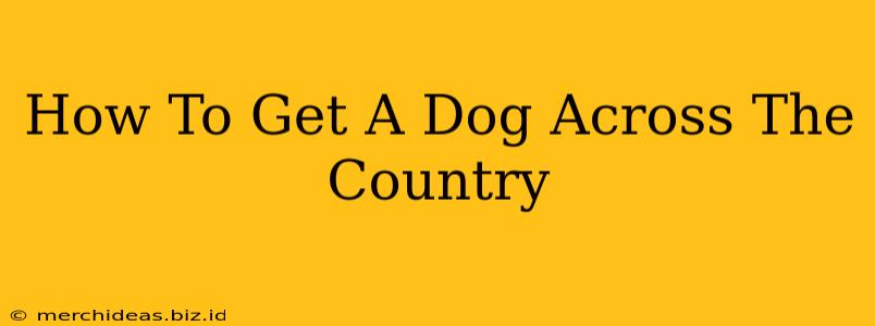 How To Get A Dog Across The Country