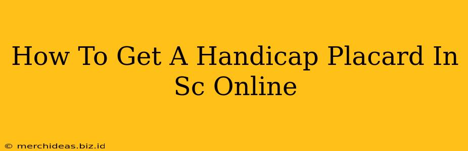 How To Get A Handicap Placard In Sc Online