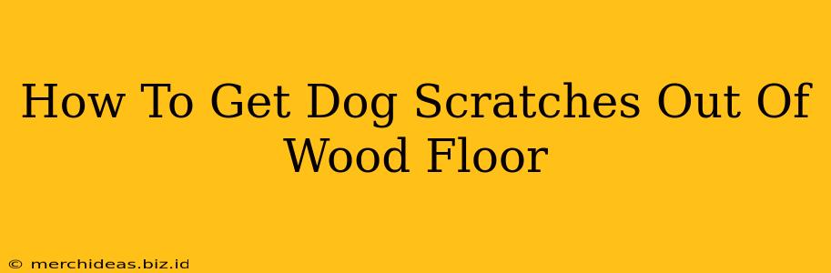 How To Get Dog Scratches Out Of Wood Floor