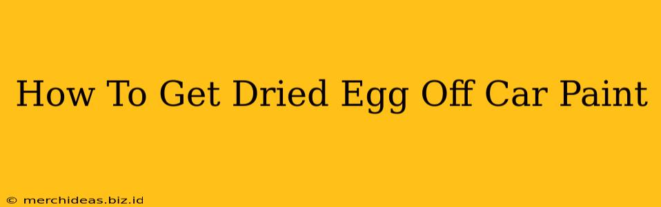 How To Get Dried Egg Off Car Paint