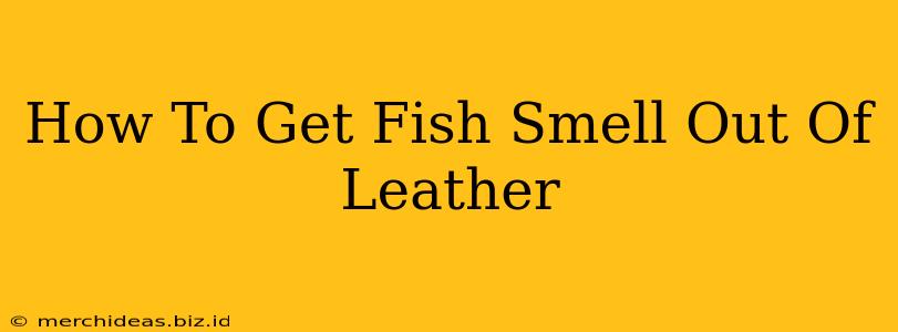 How To Get Fish Smell Out Of Leather