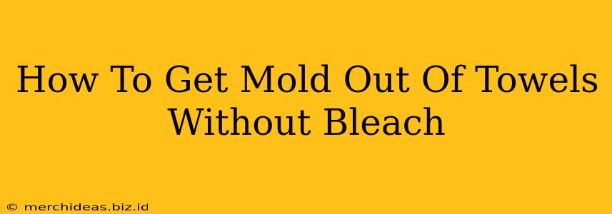 How To Get Mold Out Of Towels Without Bleach