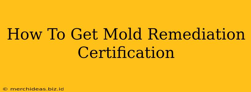 How To Get Mold Remediation Certification