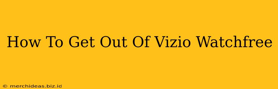 How To Get Out Of Vizio Watchfree