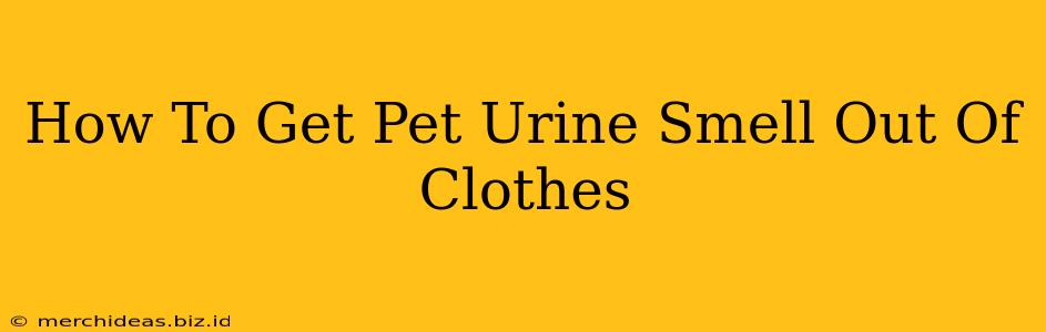 How To Get Pet Urine Smell Out Of Clothes