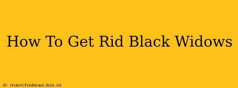 How To Get Rid Black Widows