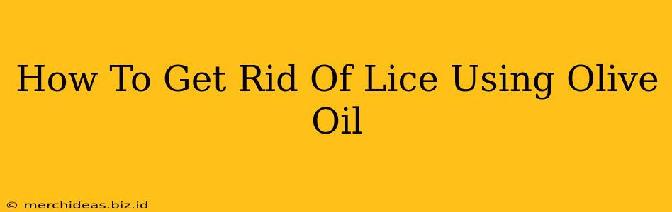 How To Get Rid Of Lice Using Olive Oil