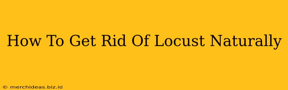How To Get Rid Of Locust Naturally
