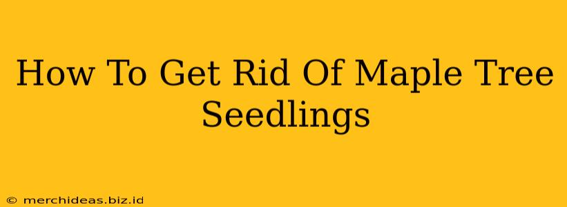 How To Get Rid Of Maple Tree Seedlings