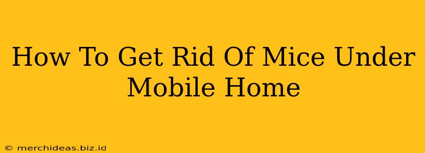How To Get Rid Of Mice Under Mobile Home