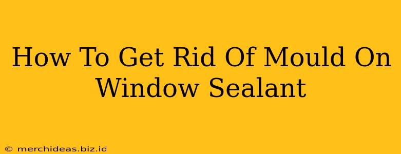 How To Get Rid Of Mould On Window Sealant