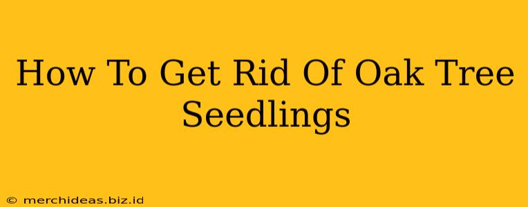 How To Get Rid Of Oak Tree Seedlings