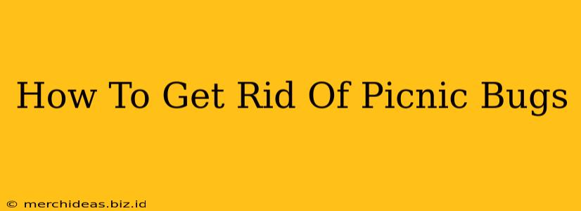 How To Get Rid Of Picnic Bugs