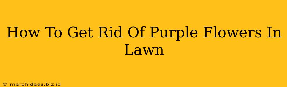 How To Get Rid Of Purple Flowers In Lawn
