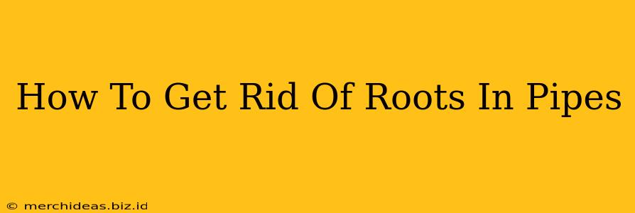 How To Get Rid Of Roots In Pipes