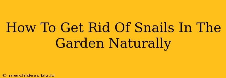 How To Get Rid Of Snails In The Garden Naturally