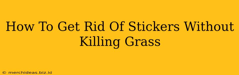How To Get Rid Of Stickers Without Killing Grass