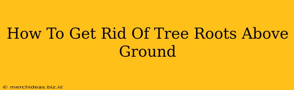 How To Get Rid Of Tree Roots Above Ground