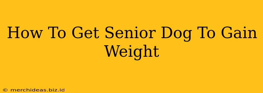 How To Get Senior Dog To Gain Weight