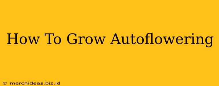 How To Grow Autoflowering