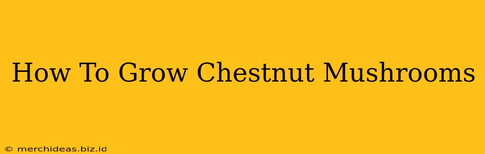 How To Grow Chestnut Mushrooms
