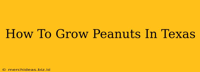 How To Grow Peanuts In Texas