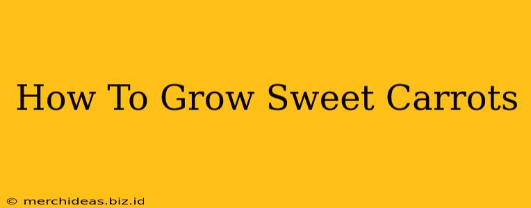 How To Grow Sweet Carrots