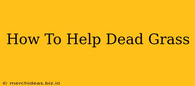 How To Help Dead Grass