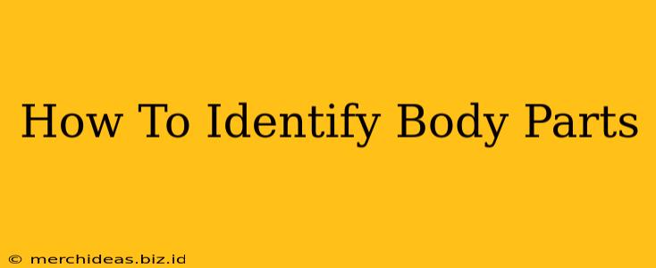 How To Identify Body Parts