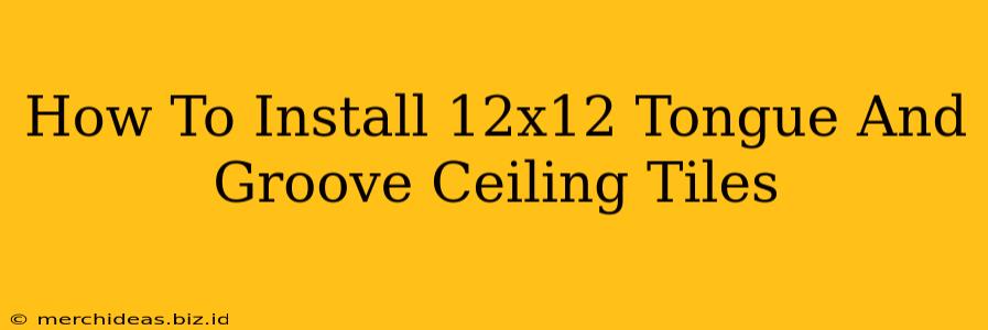 How To Install 12x12 Tongue And Groove Ceiling Tiles