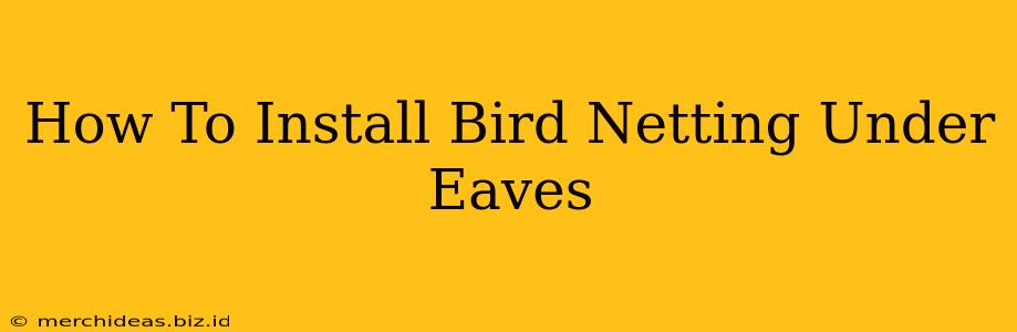 How To Install Bird Netting Under Eaves