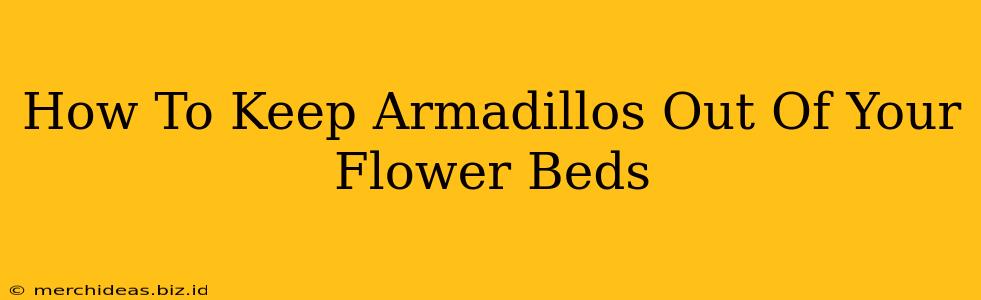How To Keep Armadillos Out Of Your Flower Beds