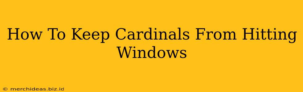 How To Keep Cardinals From Hitting Windows