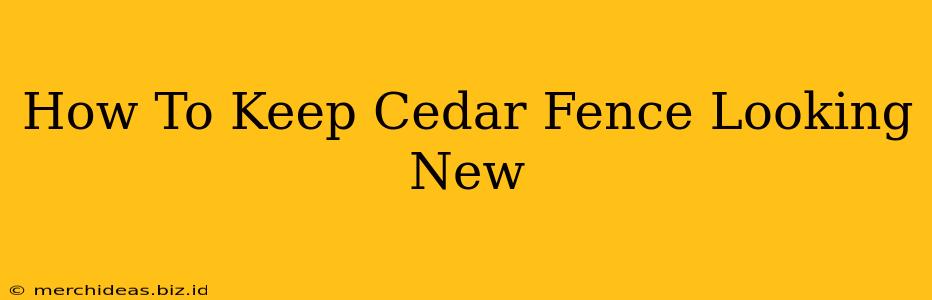 How To Keep Cedar Fence Looking New