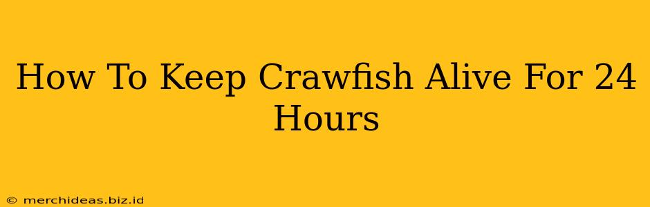 How To Keep Crawfish Alive For 24 Hours